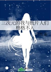 三次元纸片人什么意思