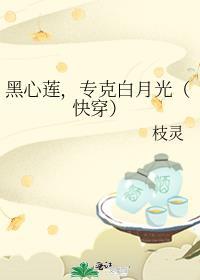 黑心莲攻