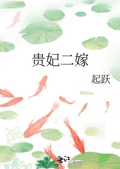 贵妃二嫁免费完整版