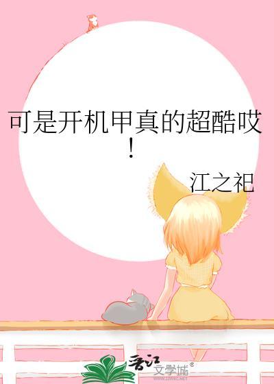 可是开机甲真的超酷哎!