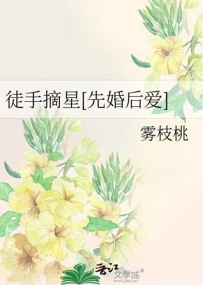 徒手摘星[先婚后爱]