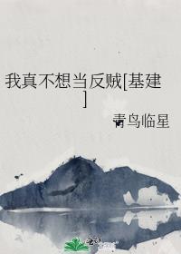 我真不想当反贼[基建]