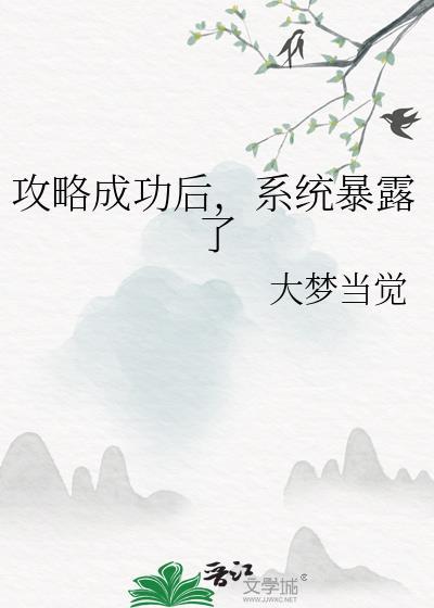 攻略成功后，系统暴露了