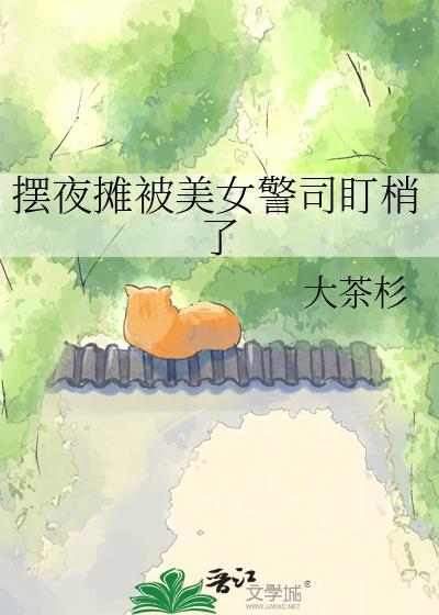 摆夜摊被美女警司盯梢了